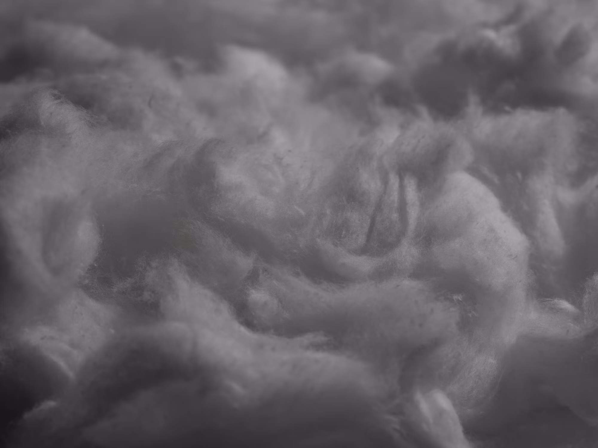 The Importance of Nutrition in Enhancing Quality of Life